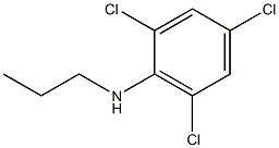 2,4,6-trichloro-N-propylaniline