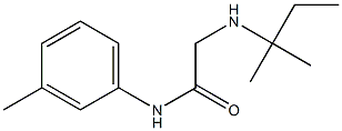 2-[(2-methylbutan-2-yl)amino]-N-(3-methylphenyl)acetamide