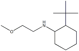 2-tert-butyl-N-(2-methoxyethyl)cyclohexan-1-amine