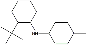2-tert-butyl-N-(4-methylcyclohexyl)cyclohexan-1-amine