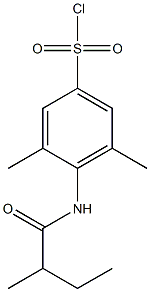 3,5-dimethyl-4-(2-methylbutanamido)benzene-1-sulfonyl chloride