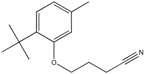 4-(2-tert-butyl-5-methylphenoxy)butanenitrile Struktur