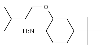 4-tert-butyl-2-(3-methylbutoxy)cyclohexan-1-amine|