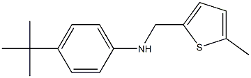 4-tert-butyl-N-[(5-methylthiophen-2-yl)methyl]aniline
