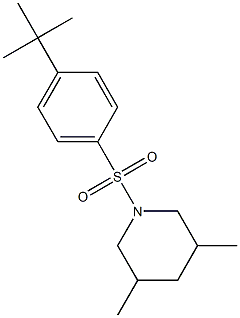 1-[(4-tert-butylphenyl)sulfonyl]-3,5-dimethylpiperidine