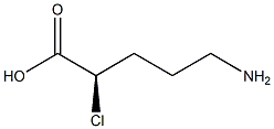 [R,(+)]-5-アミノ-2-クロロ吉草酸 化学構造式