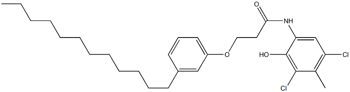 2-[3-(3-Dodecylphenoxy)propanoylamino]-4,6-dichloro-5-methylphenol