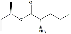(R)-2-アミノペンタン酸(S)-1-メチルプロピル 化学構造式