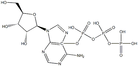 L-Adenosine 5-triphosphate