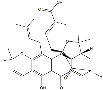イソモレリン酸 化学構造式