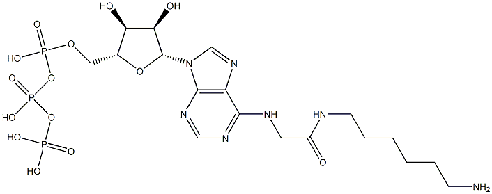 N(6)-((6-aminohexyl)carbamoylmethyl)ATP Structure
