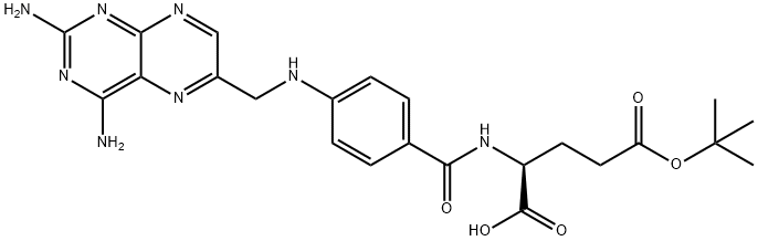gamma-tert-butyl aminopterin 结构式
