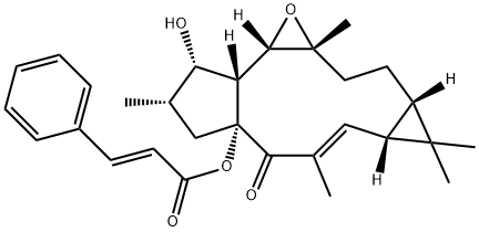 ジョルキノールB 化学構造式