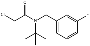 N-叔丁基-2-氯-N-[(3-氟苯基)甲基]乙酰胺, 1258641-16-5, 结构式