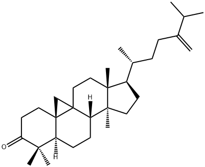 24-Methylenecycloartan-3-one, 1449-08-7, 结构式