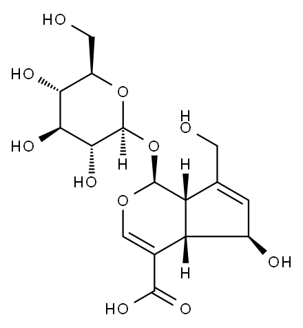 (1S)-7-(ヒドロキシメチル)-1α-(β-D-グルコピラノシルオキシ)-1,4aα,5,7aα-テトラヒドロ-5β-ヒドロキシシクロペンタ[c]ピラン-4-カルボン酸 化学構造式