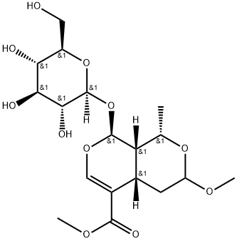 7-O-Methylmorroniside Structure