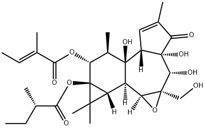 Tigilanol tiglate Structure