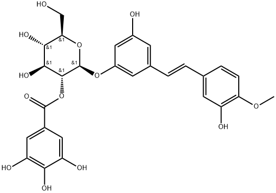 Rhaponticin 2''-O-gallate Struktur