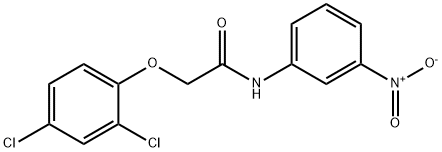 Acetamide, 2-(2,4-dichlorophenoxy)-N-(3-nitrophenyl)- Struktur