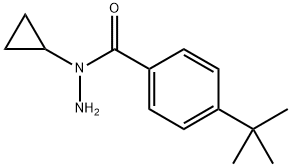 4-(叔丁基)-N-环丙基苯甲酰肼 结构式