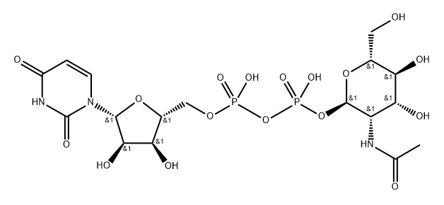 UDP-N-アセチルマンノサミン 化学構造式