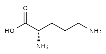 poly-l-ornithine hydrochloride|聚-L-鸟氨酸 盐酸盐