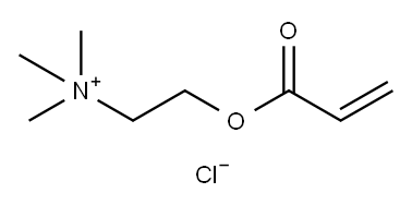 N,N,N-트리메틸-2-((1-옥소-2-프로페닐)옥시)에탄아미늄 염화물, 호모중합체