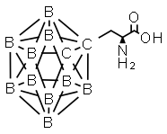 carboranylalanine Structure