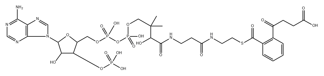 2-succinylbenzoyl-coenzyme A 结构式