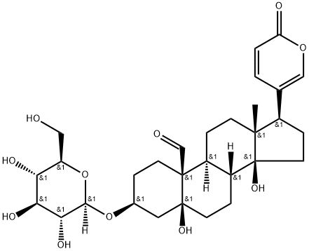 3β-(D-グルコピラノシルオキシ)-5,14-ジヒドロキシ-19-オキソ-5β-ブファ-20,22-ジエノリド 化学構造式