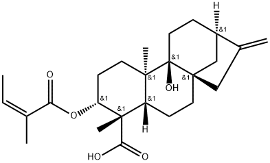 3ALPHA-当归酰氧基-9BETA-羟基等效贝壳杉-16-烯酸, 79406-11-4, 结构式