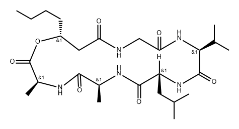 Cyclo[L-alanyl-L-alanyl-(3R)-3-hydroxyheptanoylglycyl-L-valyl-D-leucyl] Structure