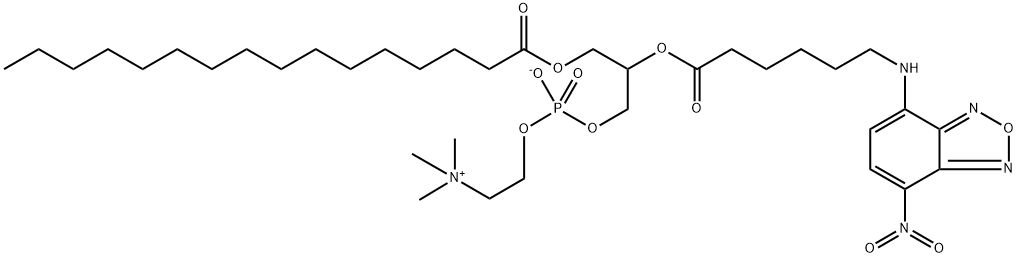 L-A-PHOSPHATIDYLCHOLINE, B-(NBD-*AMINOHE XANOYL)-GAM Struktur