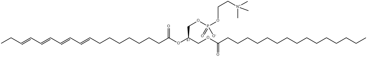 1-palmitoyl-2-parinaroylphosphatidylcholine Struktur