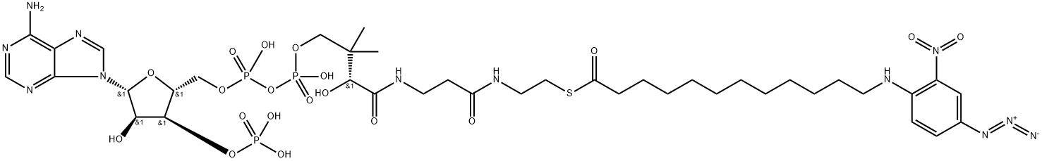 N-(4'-azido-2'-nitrophenyl)-12-aminododecanoyl-coenzyme A Structure