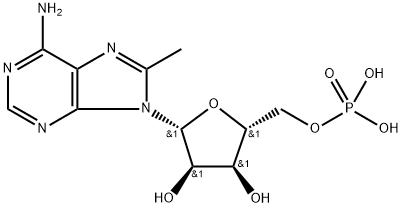 poly(8-methyladenylic acid)|