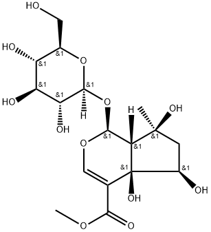 6β-ヒドロキシイポラミイド