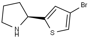2-((2S)PYRROLIDIN-2-YL)-4-BROMOTHIOPHENE 结构式