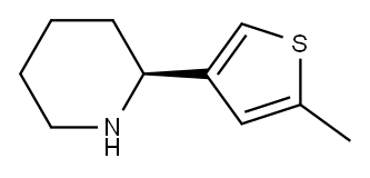 4-((2S)(2-PIPERIDYL))-2-METHYLTHIOPHENE 结构式