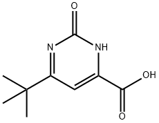6-TERT-ブチル-2-ヒドロキシ-4-ピリミジンカルボン酸 化学構造式