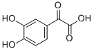 4,8-DIHYDROXYQUINOLINE Struktur