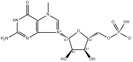 7-甲基-3'-O-甲基-5'-鸟苷单磷酸 结构式