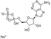 アデノシン 5′-ホスホ硫酸 ナトリウム塩 price.