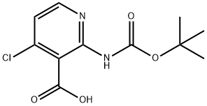 2-(TERT-ブチルトキシカルボニルアミノ)-4-クロロニコチン酸 化学構造式