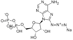 8-アジドアデノシン-5'-二りん酸ナトリウム塩