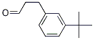 Benzenepropanal, 3-(1,1-diMethylethyl)- Struktur