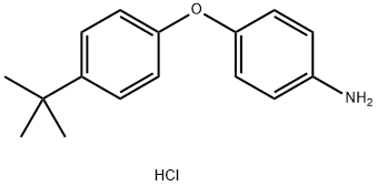 4-[4-(TERT-BUTYL)PHENOXY]ANILINE HYDROCHLORIDE Struktur