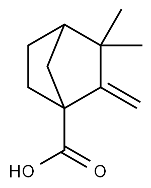 3,3-二甲基-2-亚甲基-双环[2.2.1]庚烷-1-甲酸, 10309-20-3, 结构式