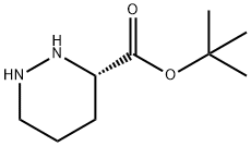 (S)-叔丁基六氢哒嗪-3-羧酸酯, 104069-74-1, 结构式